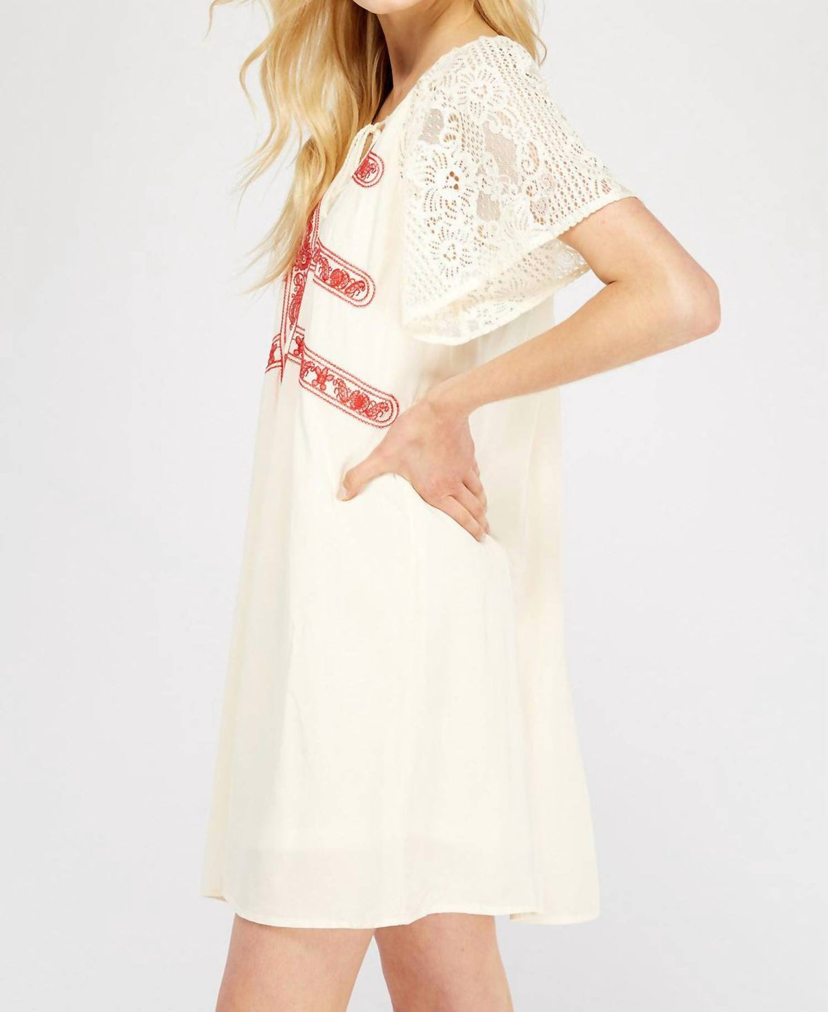Entro - Lace & Embroidered Mini Dress