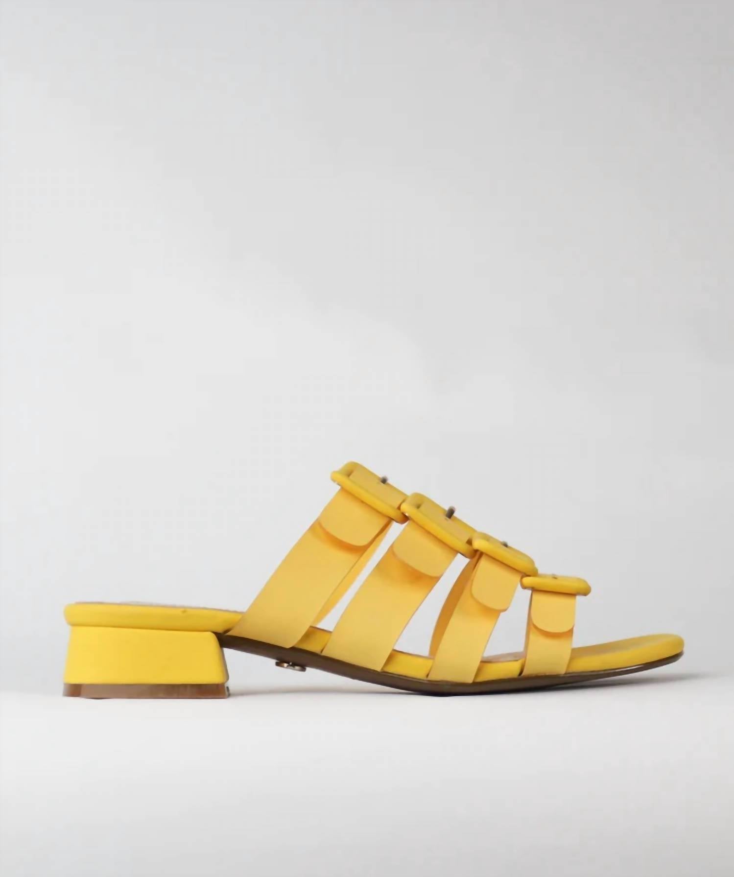 Cecelia New York - LEXINGTON SLIDE SANDAL