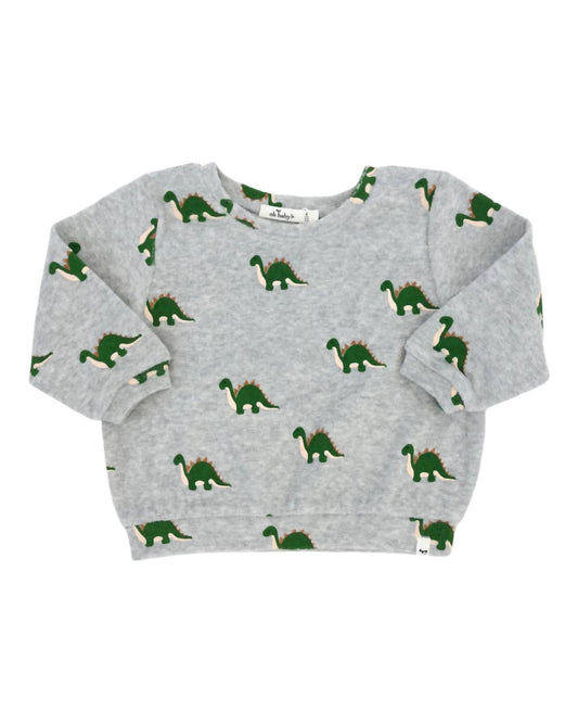 Oh Baby! - Boy's Dinosaur Print Sweatshirt