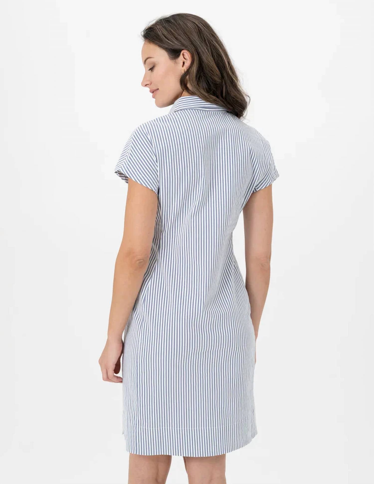 Renuar - Seersucker Dress
