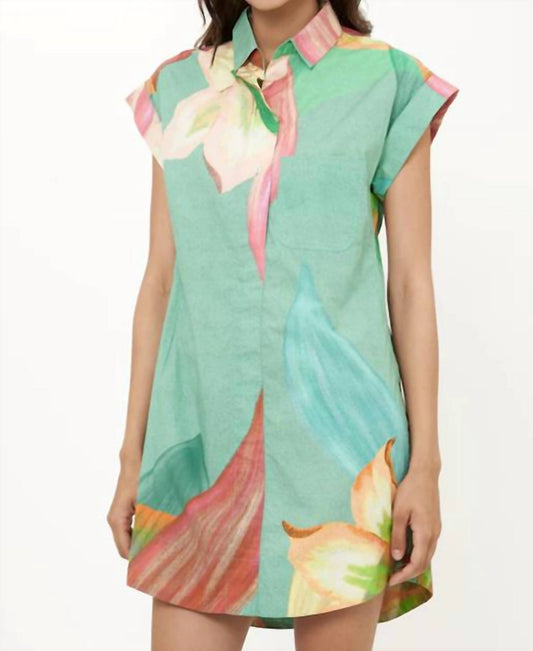 Oliphant - Shirt dress