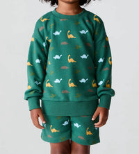 Chaser - Kids' Dino Party Sweatshirt