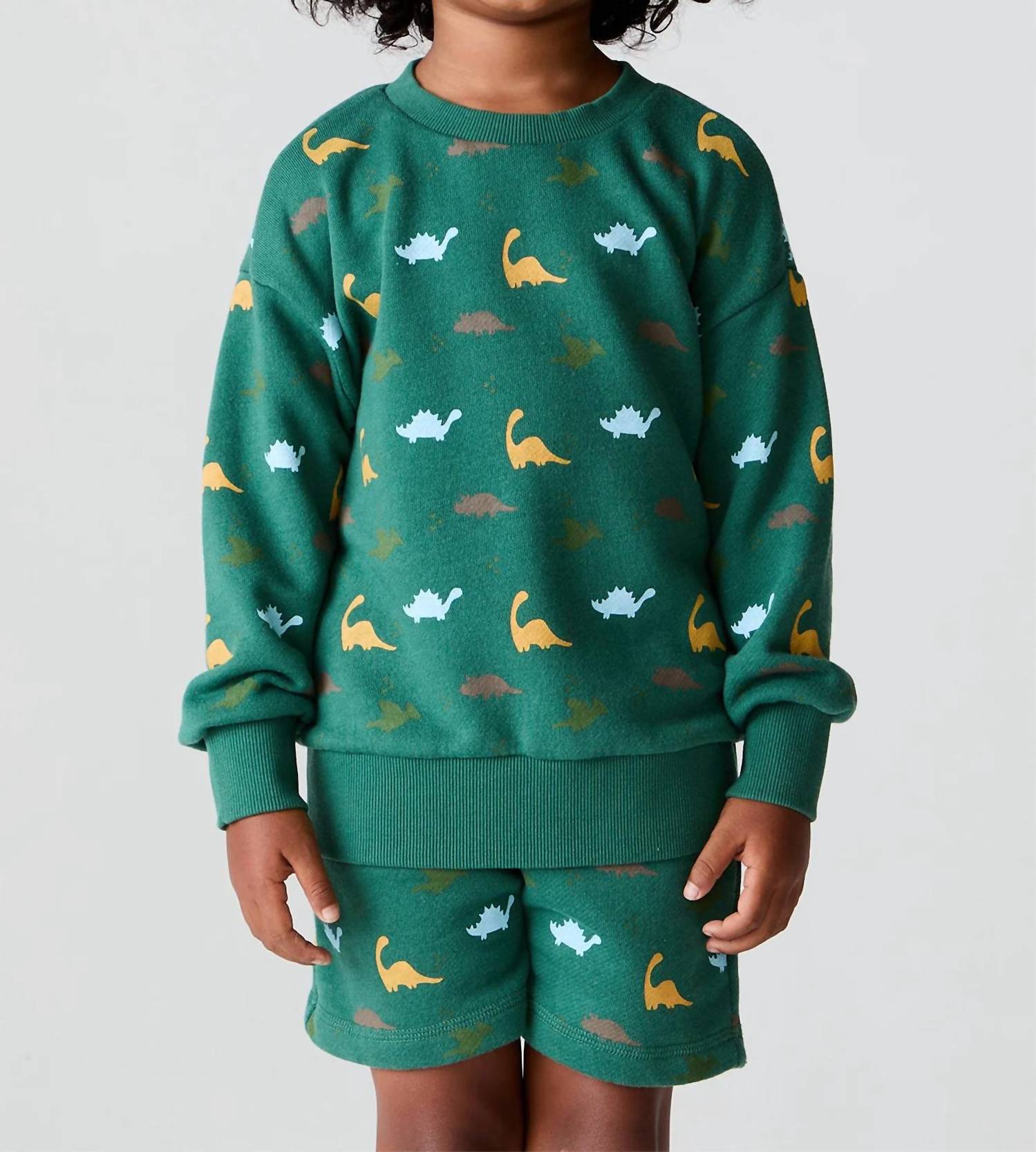 Chaser - Kids' Dino Party Sweatshirt