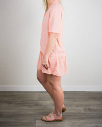 Bb Dakota - Been Here Before Dress