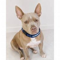 Little Earth Productions - Dallas Cowboys NFL Pet Collar