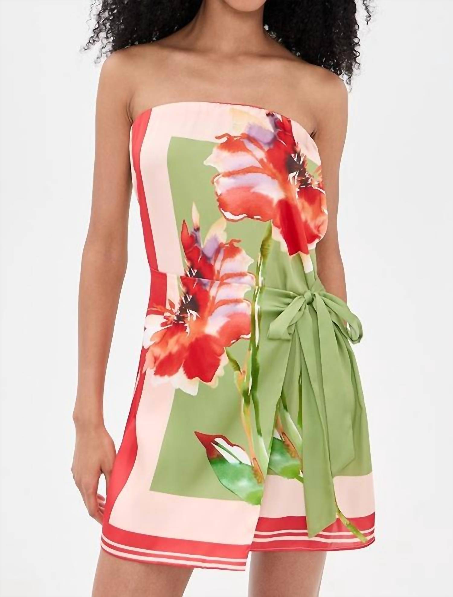 Misa Los Angeles - Priya Mini Dress