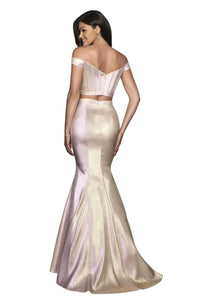 Blush Prom - Two Tone Woven Shimmer Two Piece Gown