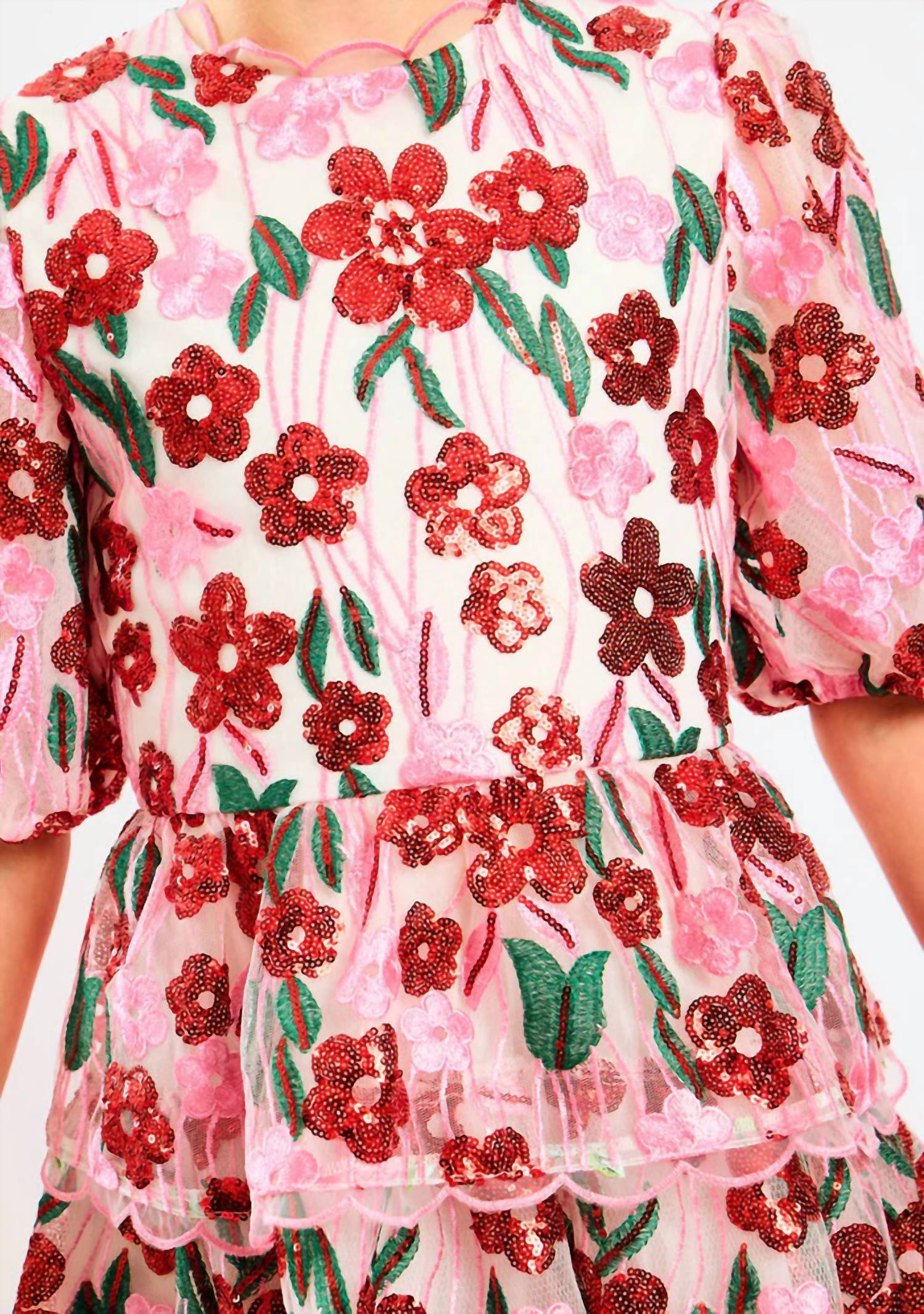 Marlo - Shyla Embroidered Mini Dress