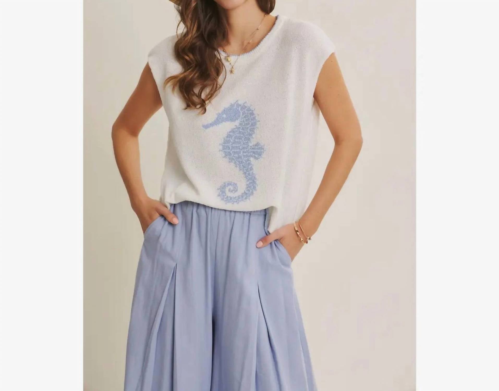 Skies Are Blue - Seaside Seahorse Sweater Top