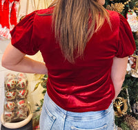 DEAR JOHN DENIM Vanessia Velour Top in apple blush - women's blouse - alternate view