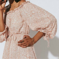 Cleobella Saige Chiffon Ankle Maxi Dress in blush zebra - women's dress - alternate view
