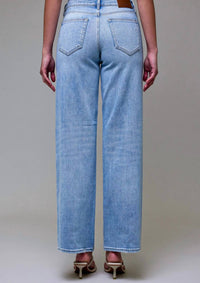 Hidden - Logan Low Rise Dad Jeans