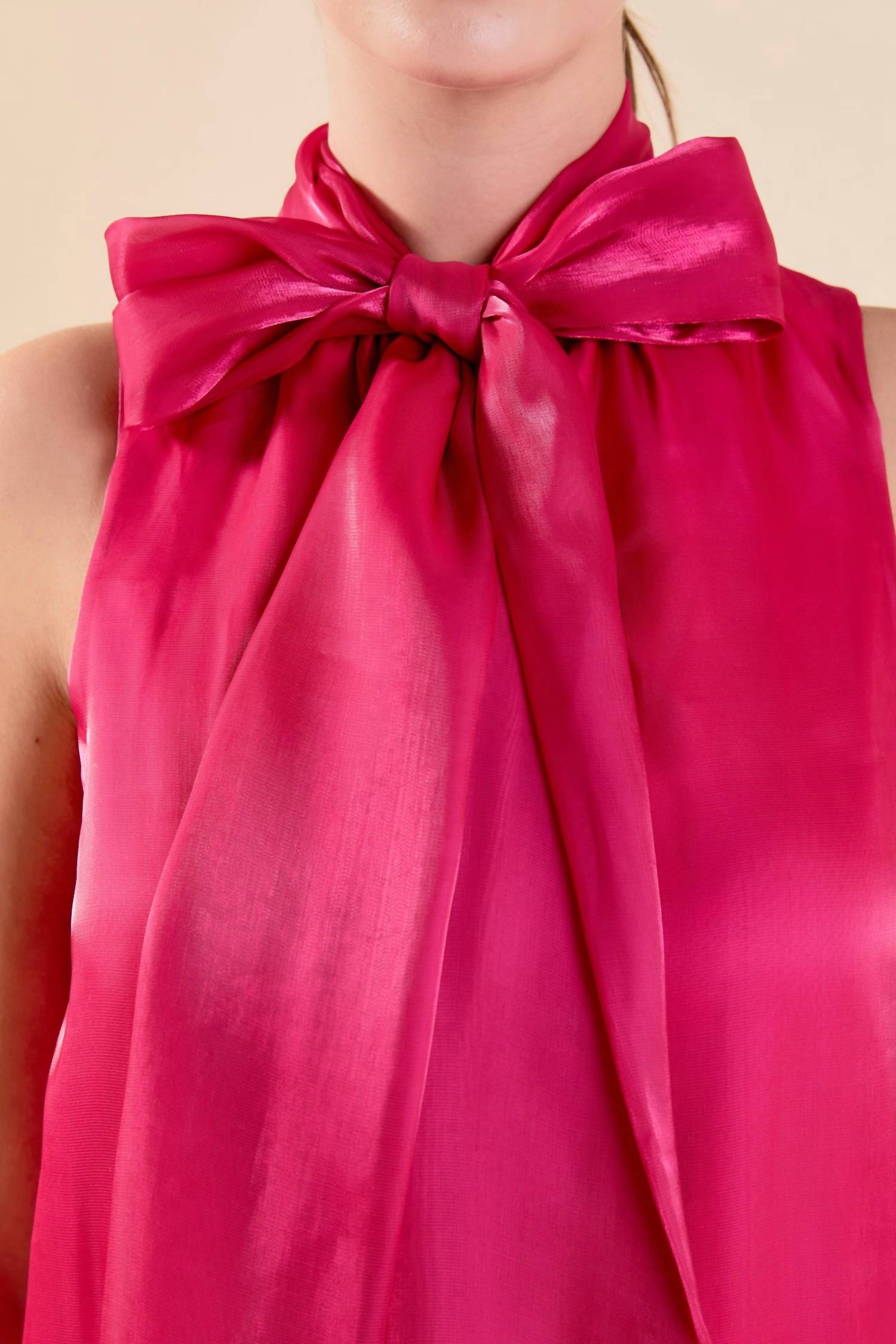 2.7 August Apparel - Organza Mini Dress
