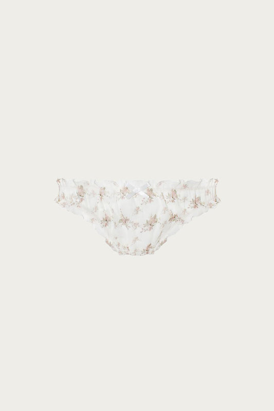 GARDENIA BRIEF