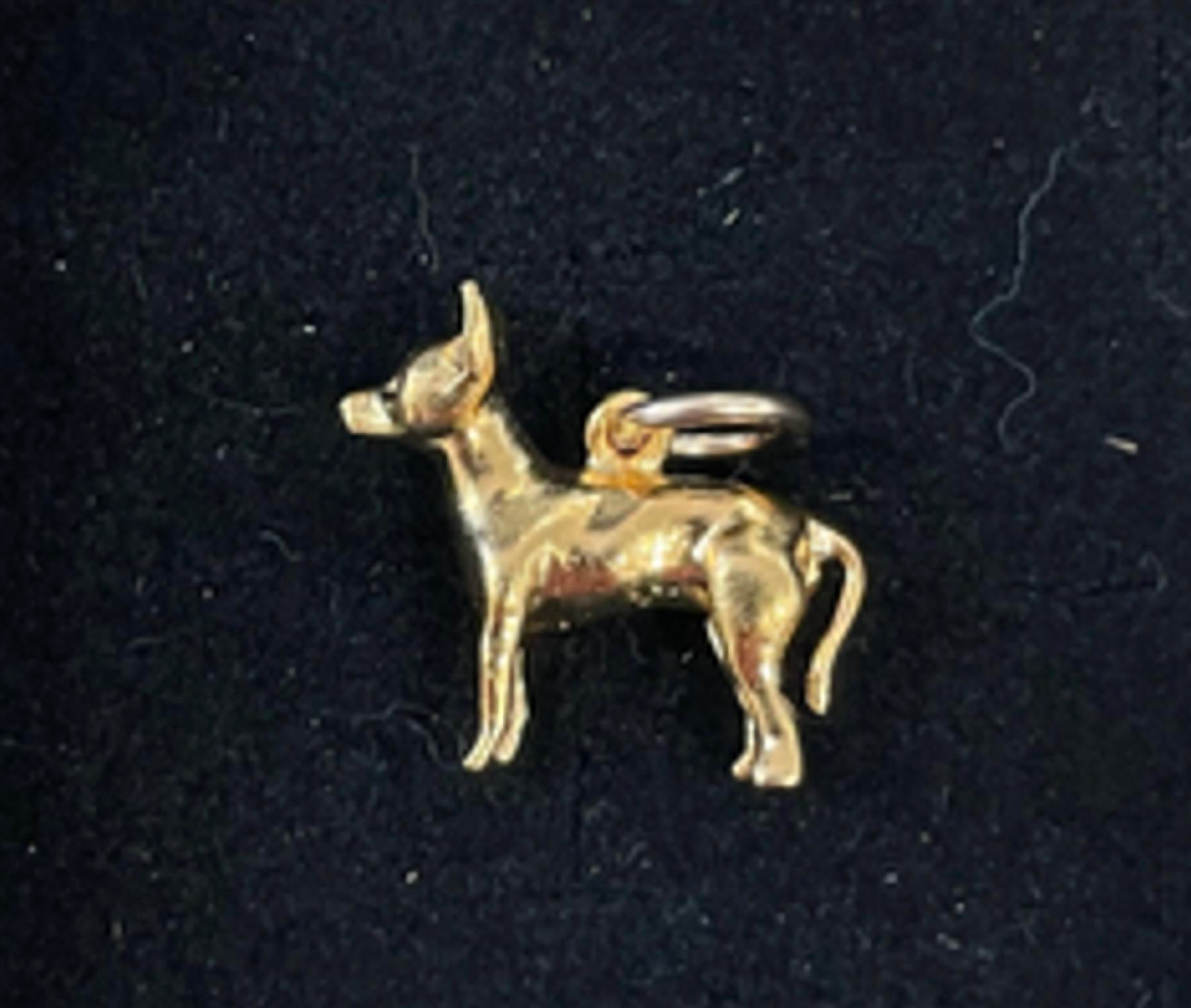 Azi Rasson - Women's Vintage Chihuahua Medium Charm