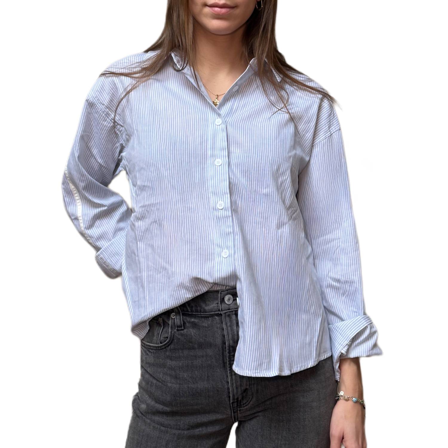 Sunday Edition - Pinstripe Button Down With Stripe Detail Shirt