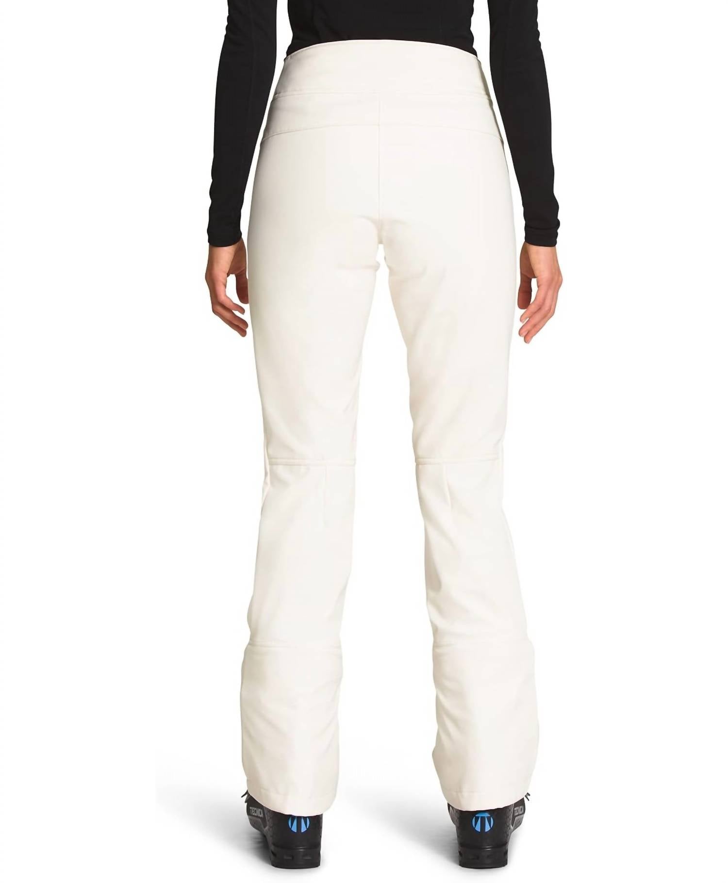 The North Face - Apex Straight Leg Snow Ski Pants - Short