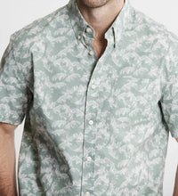 Jachs New York - Bay Oxford Short Sleeve Shirt