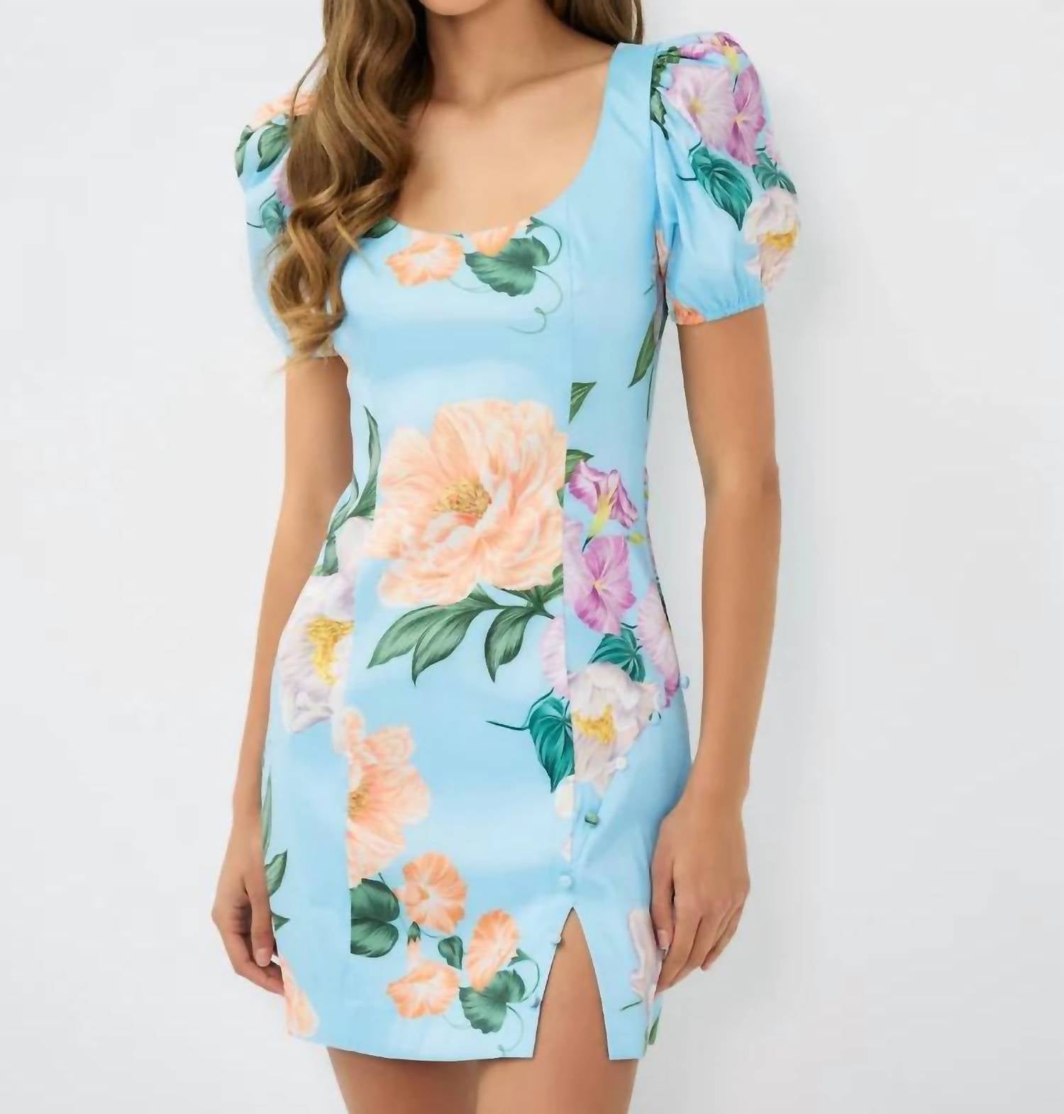Hutch - Evera Mini Dress
