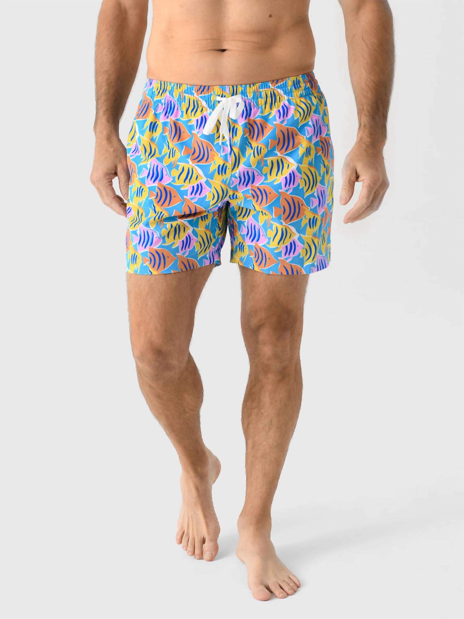 Chubbies - The Fish Tanks 5.5" Classic Swim Trunks