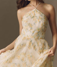 Hutch - Blaine Maxi Gown