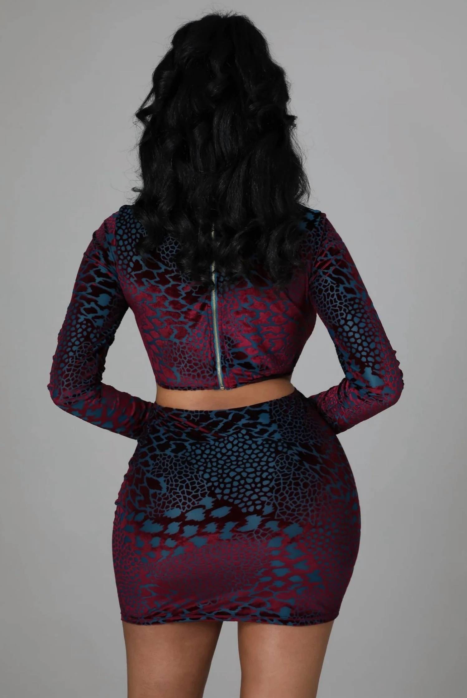 Good Time Usa - Hard To Catch Sheer Velvet Mid Ring Print Mini Dress
