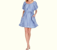Joy Joy - Puff Sleeve Swing Dress