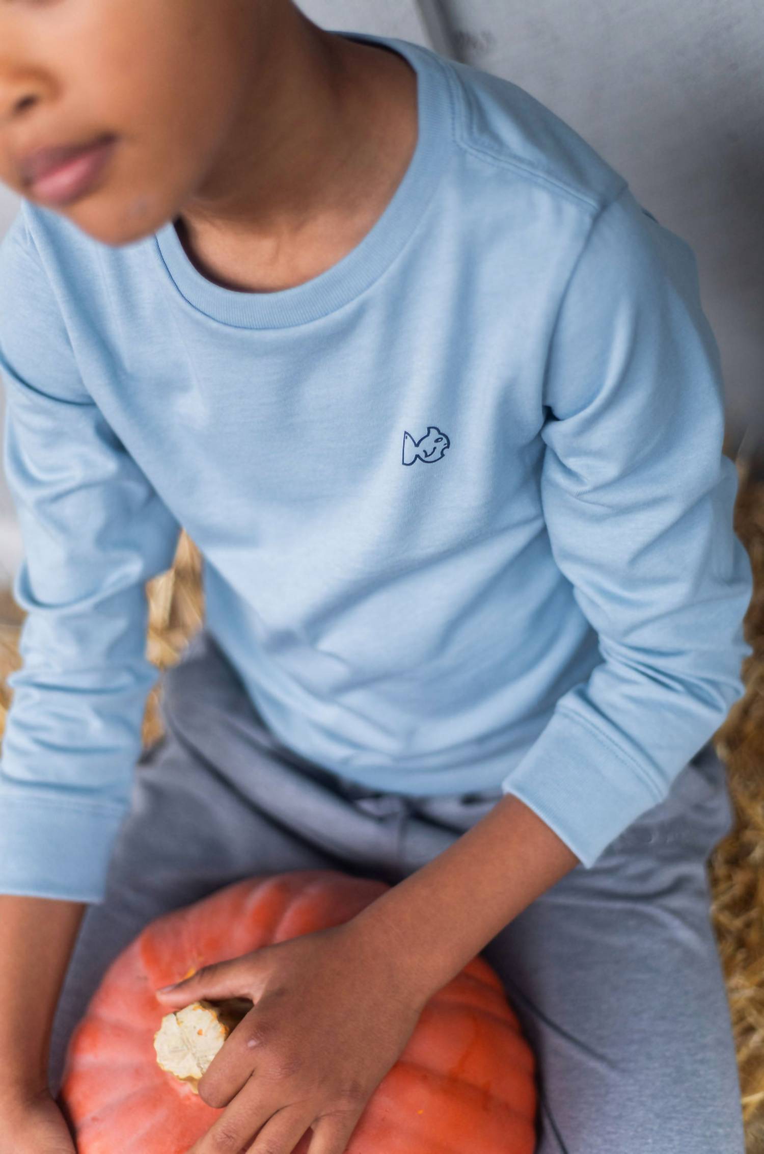 Prodoh - Boy's Long Sleeve Gray Cotton T-shirt