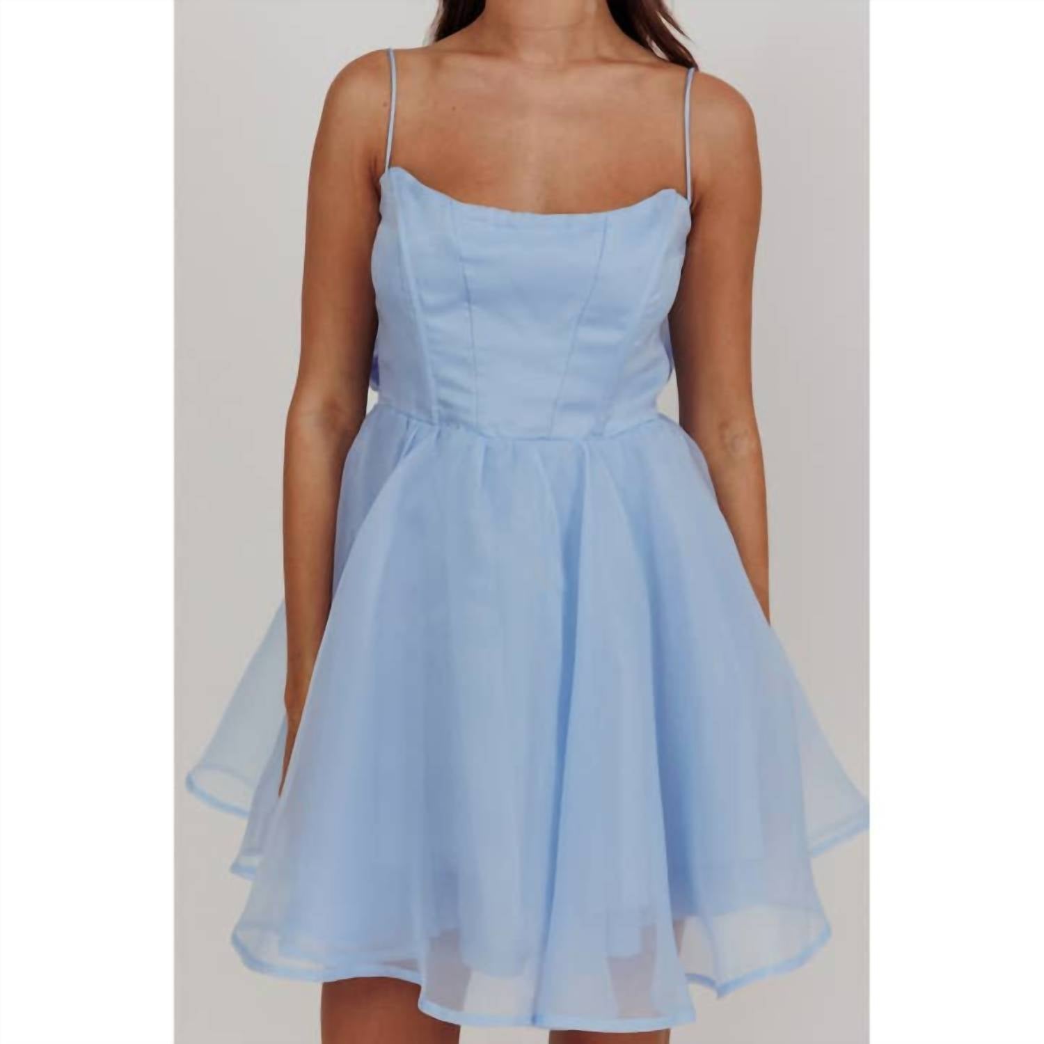 One And Only Collective - Sleeveless Organza Mini Dress