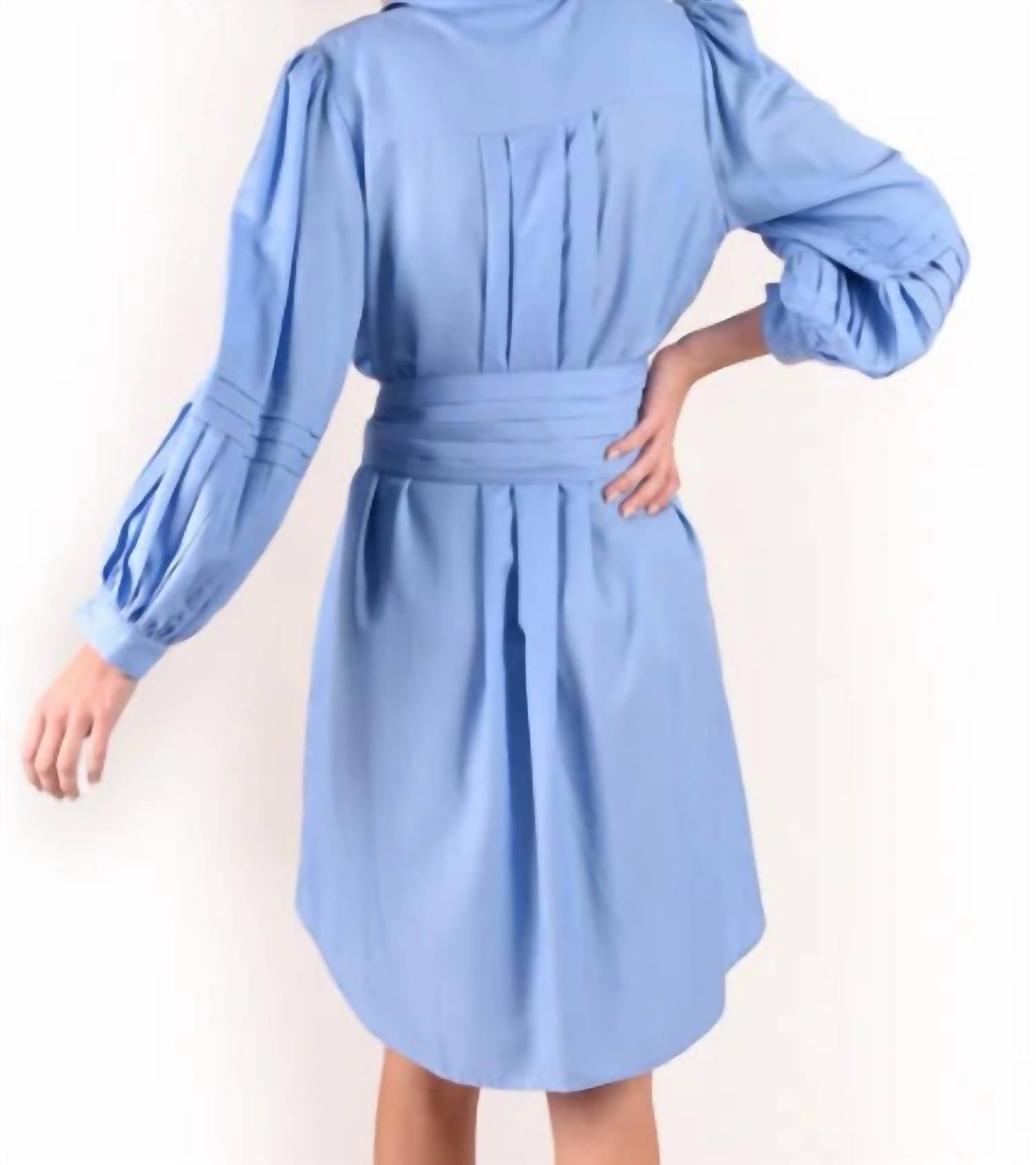 Oxford Dress