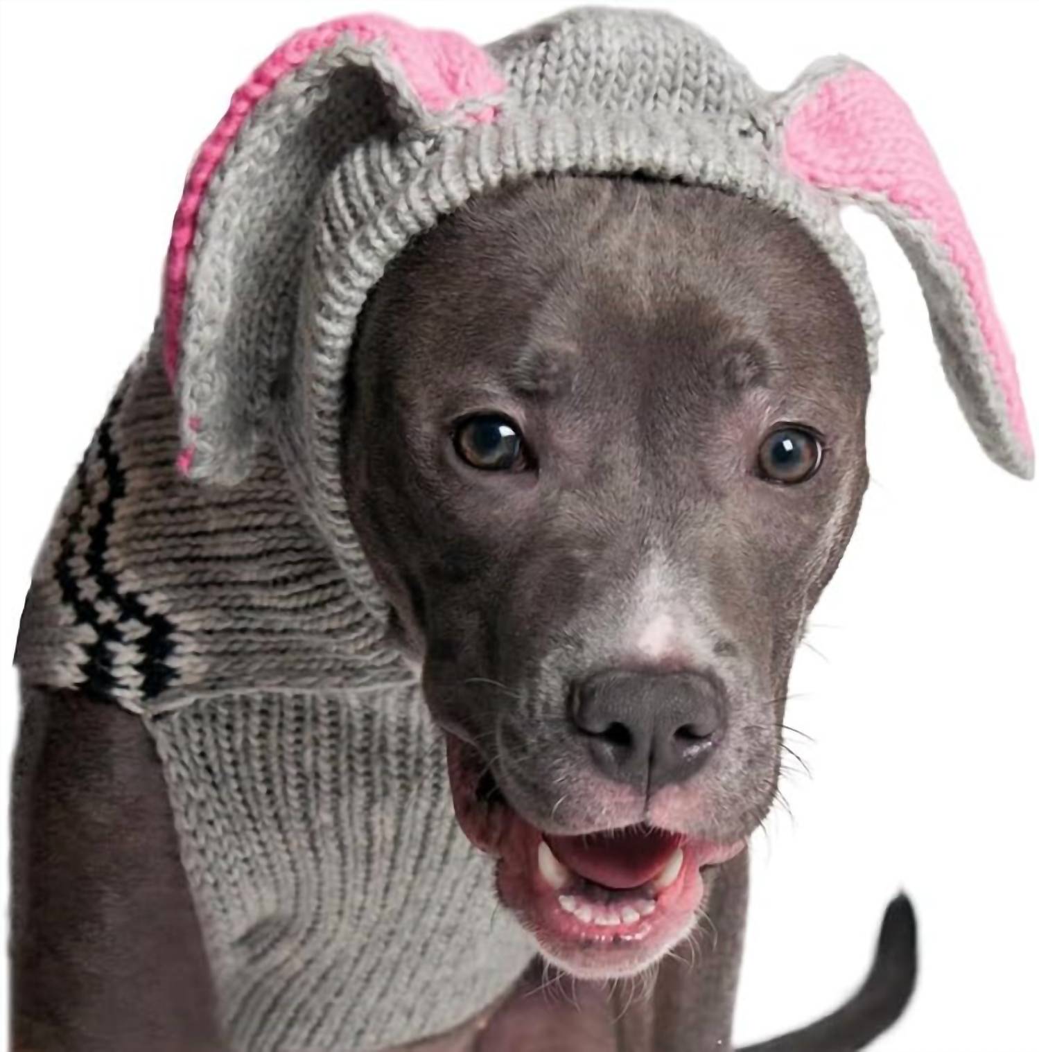 Chilly Dogs - Bunny Dog Sweater