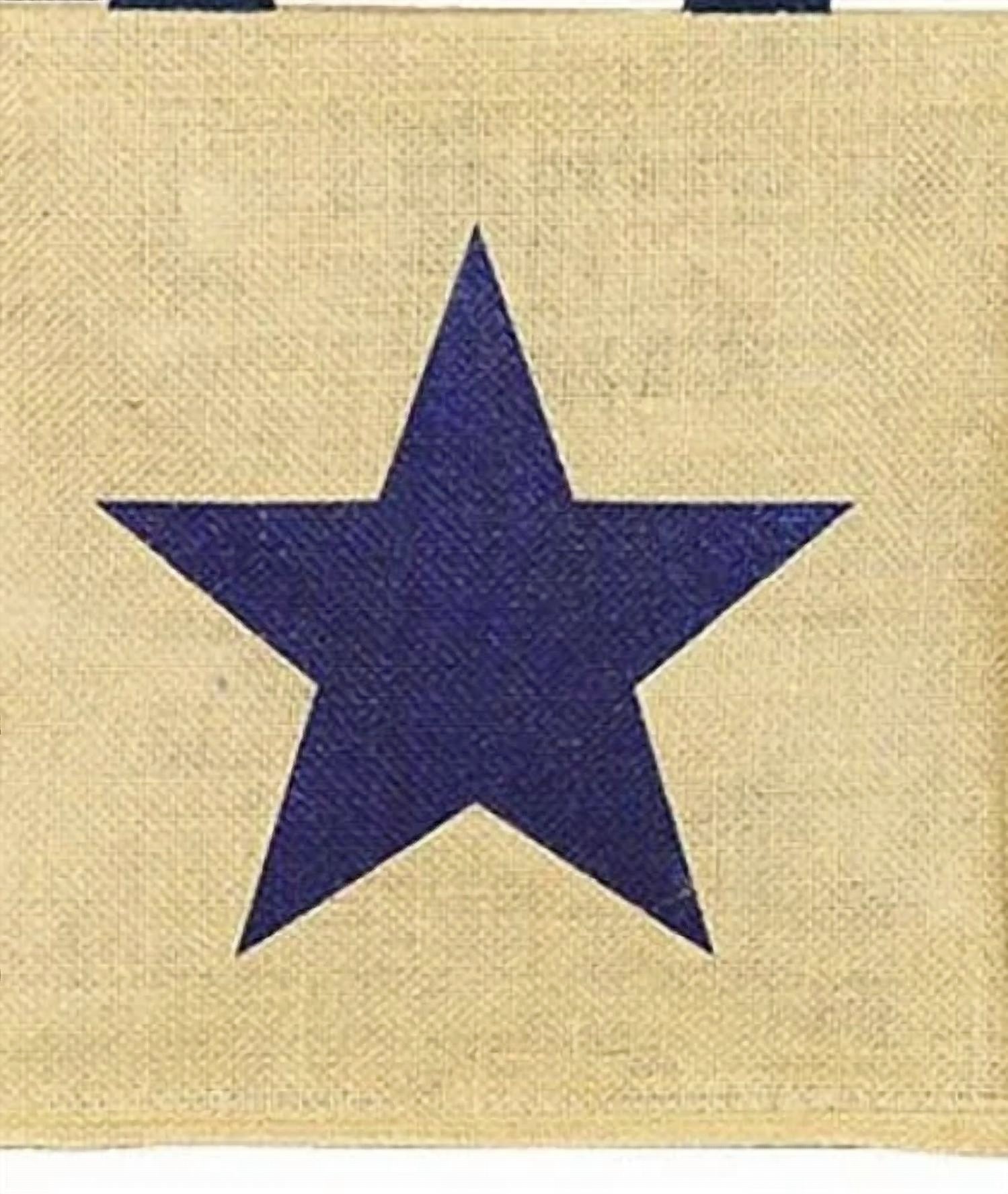 22Tote - Women's Lightweight Star Straw Tote Bag