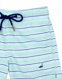 Properly Tied - Boy's Polyester Quick-Drying Swim Trunk