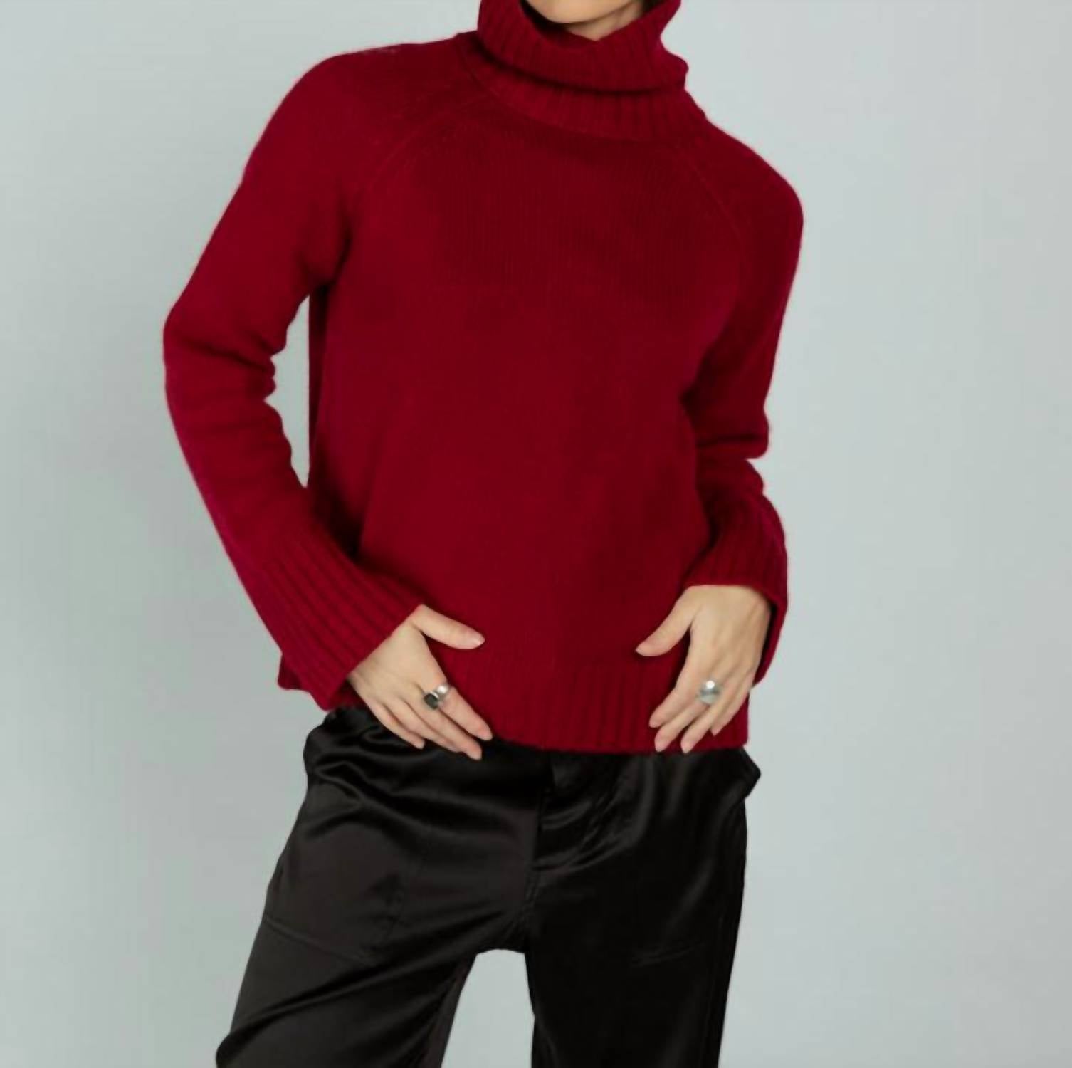 Brazeau Tricot - Cashmere Chunky Turtleneck Sweater