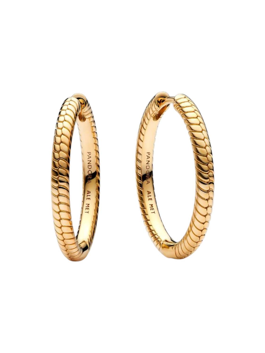 Pandora - Moments Charm Hoop Earrings