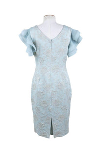 Pleat Sleeve Dress