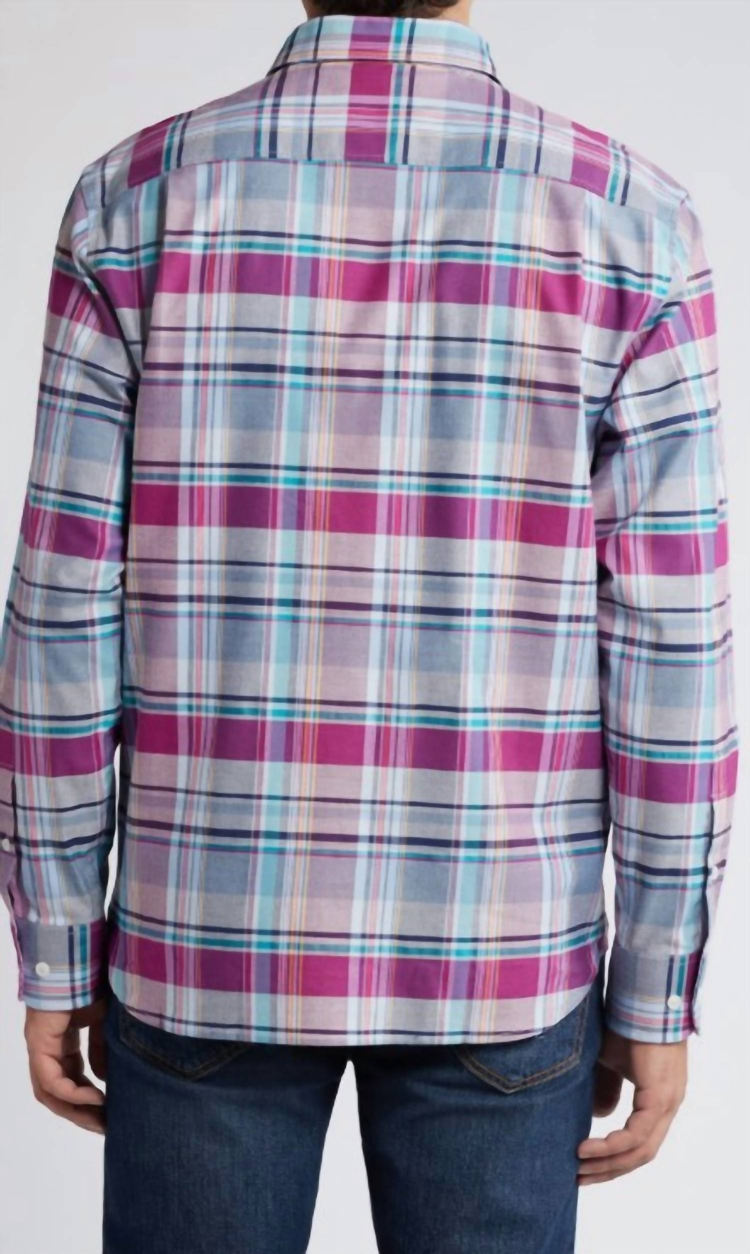 Tommy Bahama - Lazlo Cheers Check