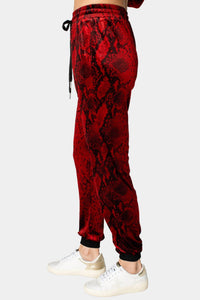 Buddylove - Meadow Velour Joggers