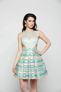 Last Dress - Pearl Net Tiffany Stripe Dress
