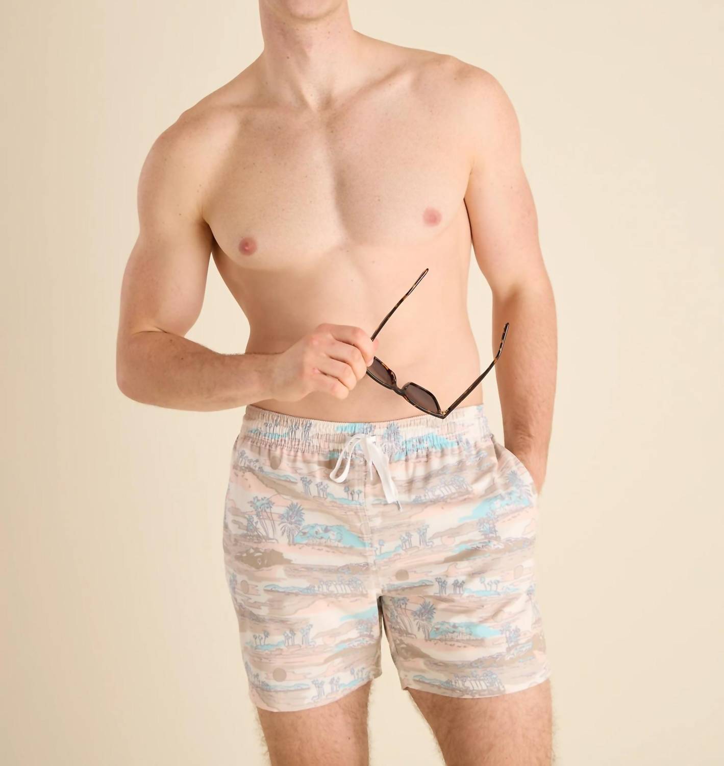 Chubbies - Day Trips 5.5" Classic Swim Trunks