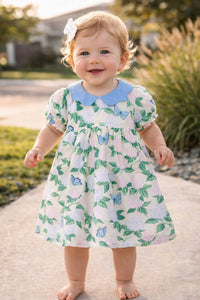 Hatley - Woven Collar Dress