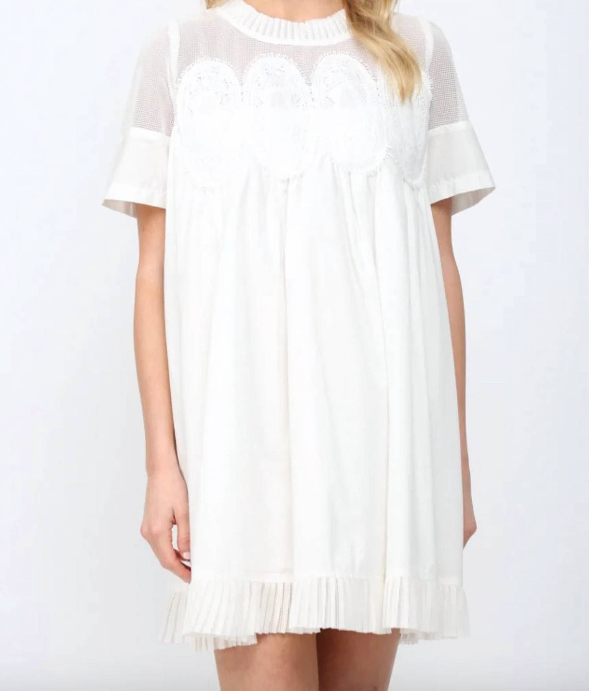 Fate - Mesh Mini Dress