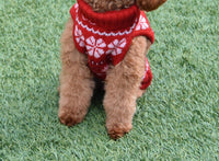 Loveshackfancy - Arindia Dog Sweater