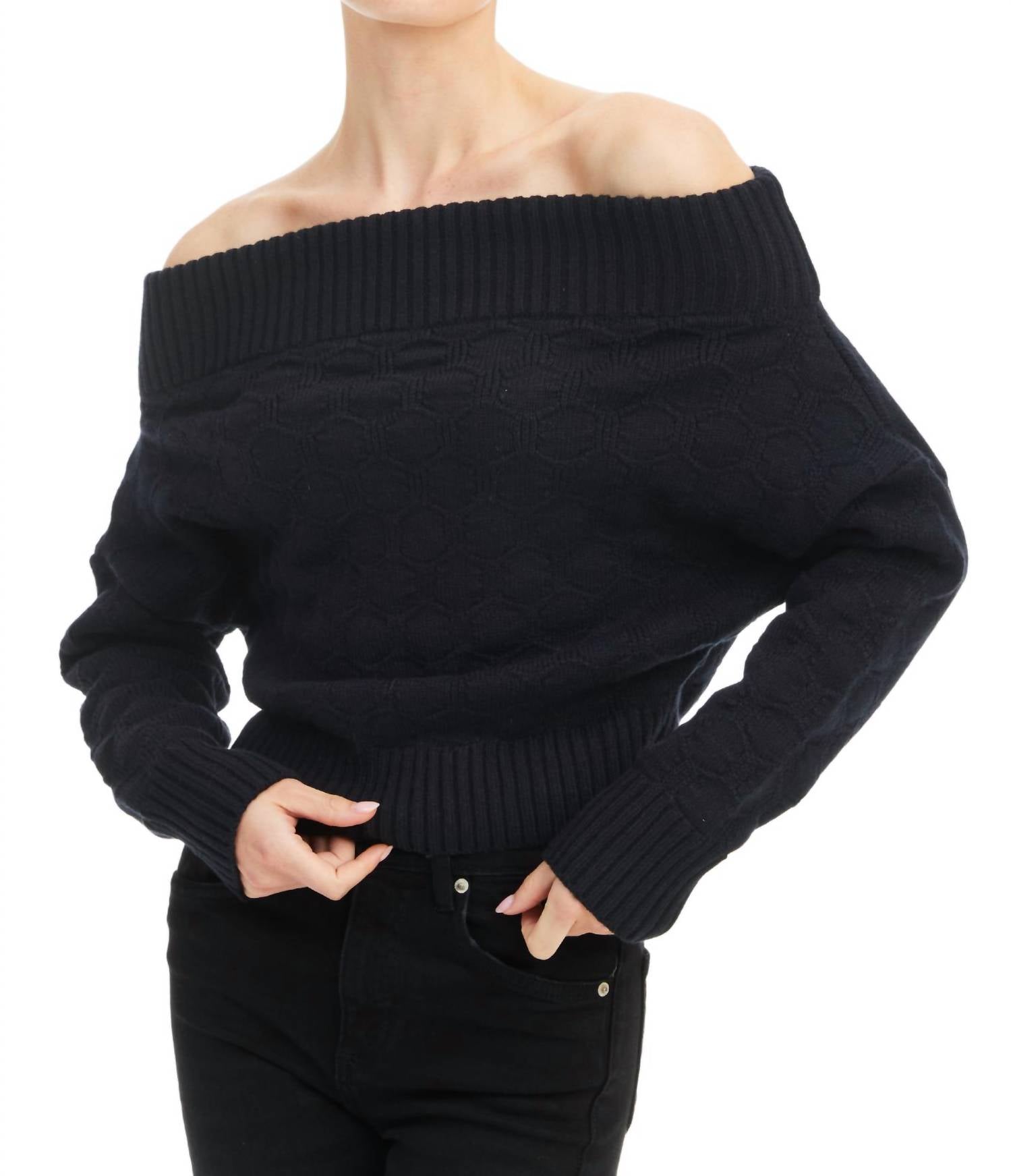 ALLISON NEW YORK Alba Sweater in black - women's sweater