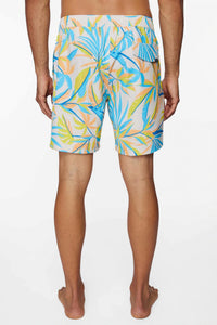 O'Neill - Men's Banyon Volleys