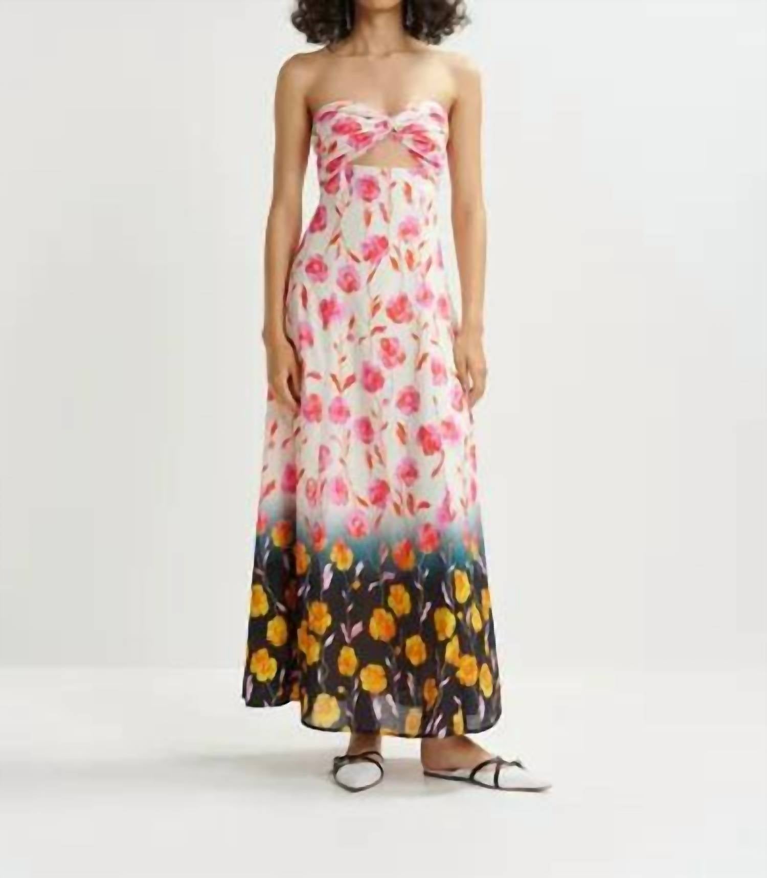 Essential Antwerp - Heorgia Floral Maxi Dress