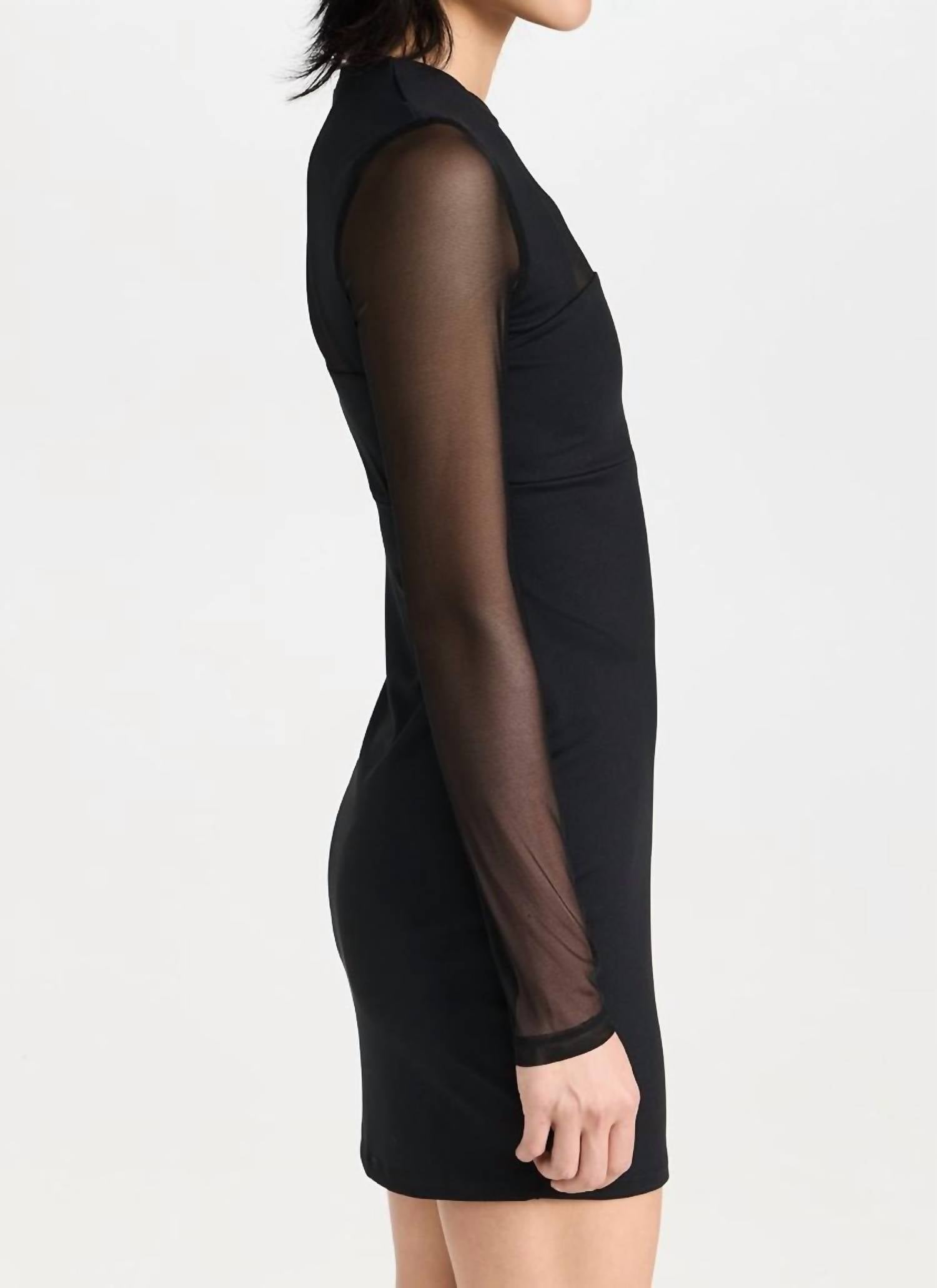 Susana Monaco - Mesh Crew Long Sleeve Mini Dress