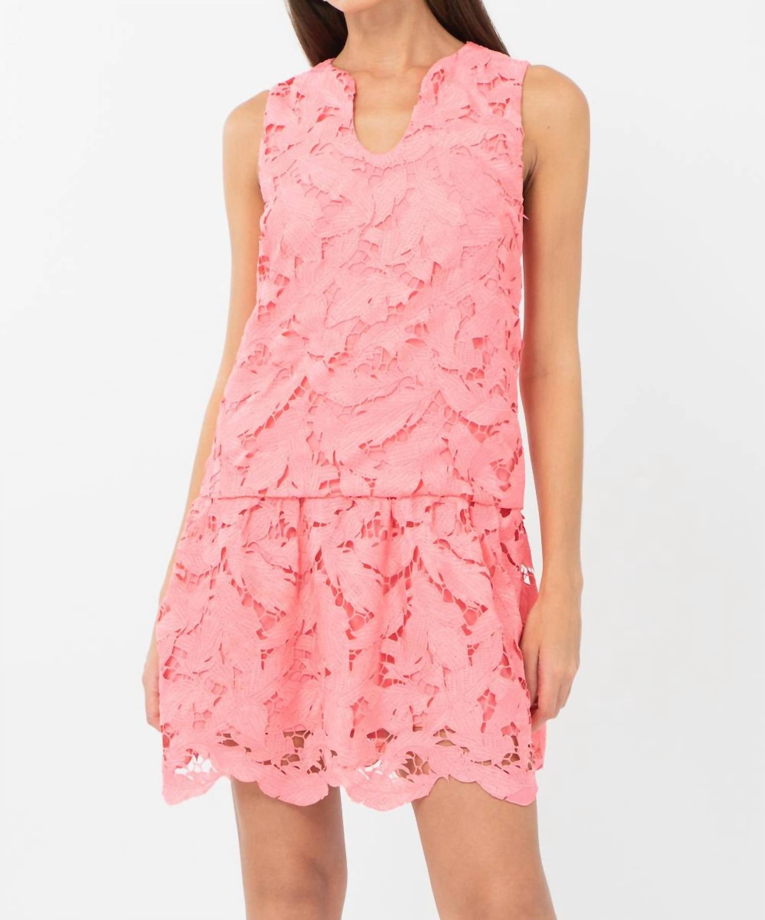 Adelyn Rae - Francesca 3D Lace Drop Waist Mini Dress