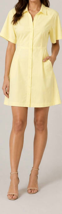 Theory - Pleated Shirt Dress