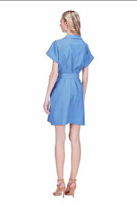 Joy Joy - Waist Pleated Button Dress